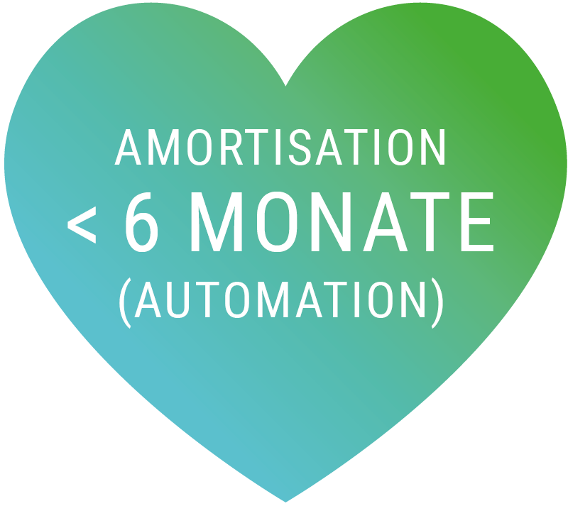 Amortisation in >6 Months