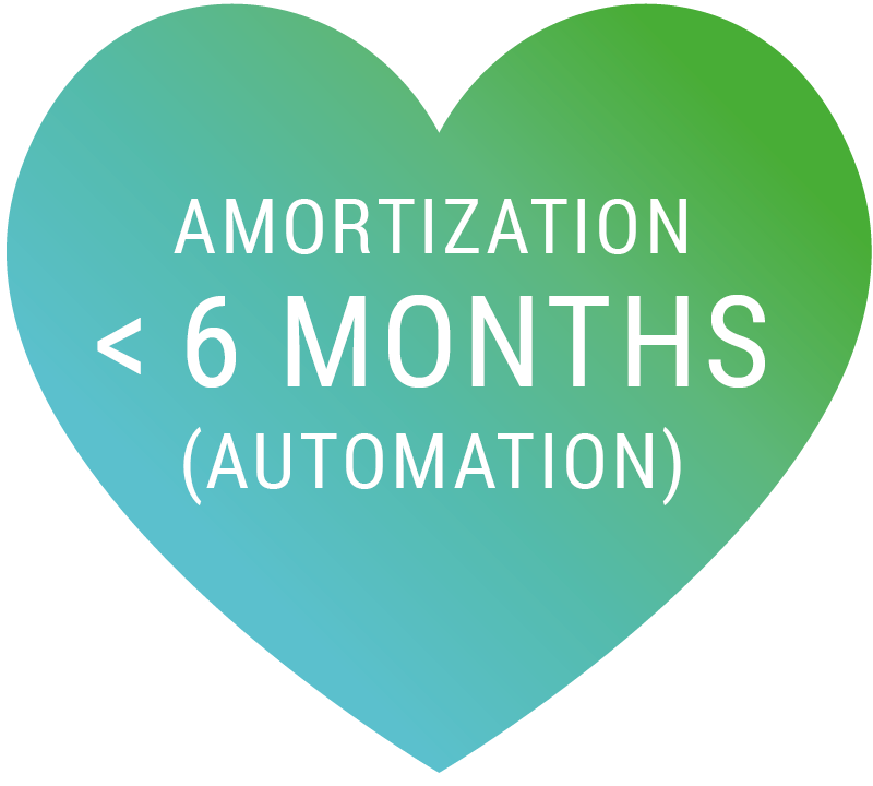 Amortisation in >6 Months