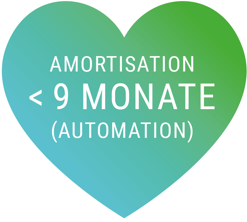 Amortisation in >9 Months
